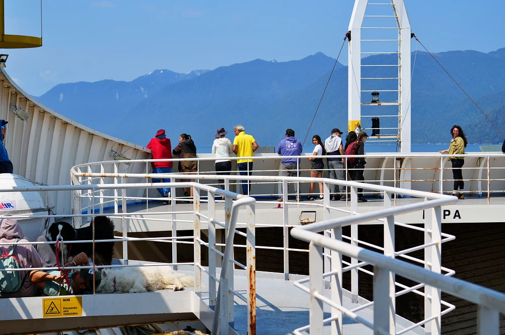 也有旅客帶著狗狗一起到帕塔哥尼亞探險。